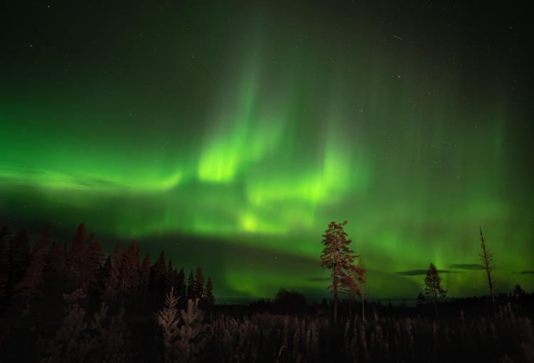 Schwedisch Lappland über die Feiertage