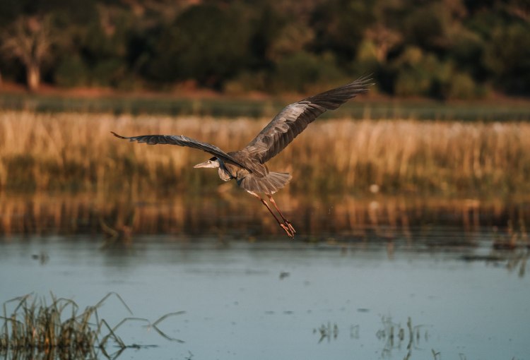 Gruppensafari von Maun an die Viktoriafälle