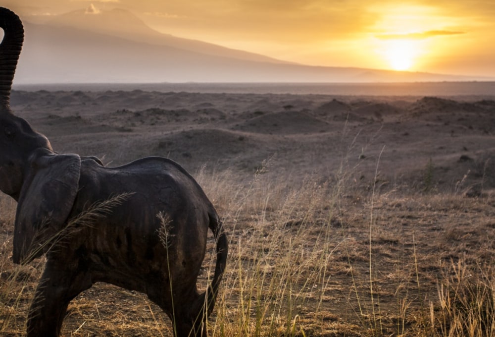 Africa Amini Massai Lodge
