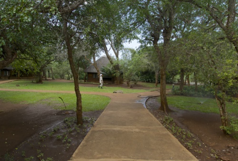 White Elephant Bush Camp