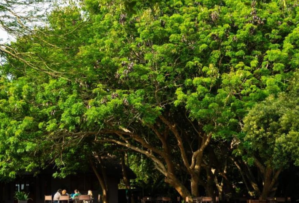 Falaza Game Park & Spa