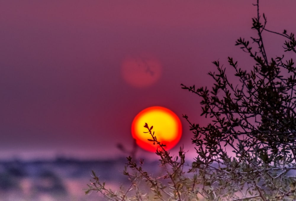 Bagatelle Kalahari Game Ranch Lodge