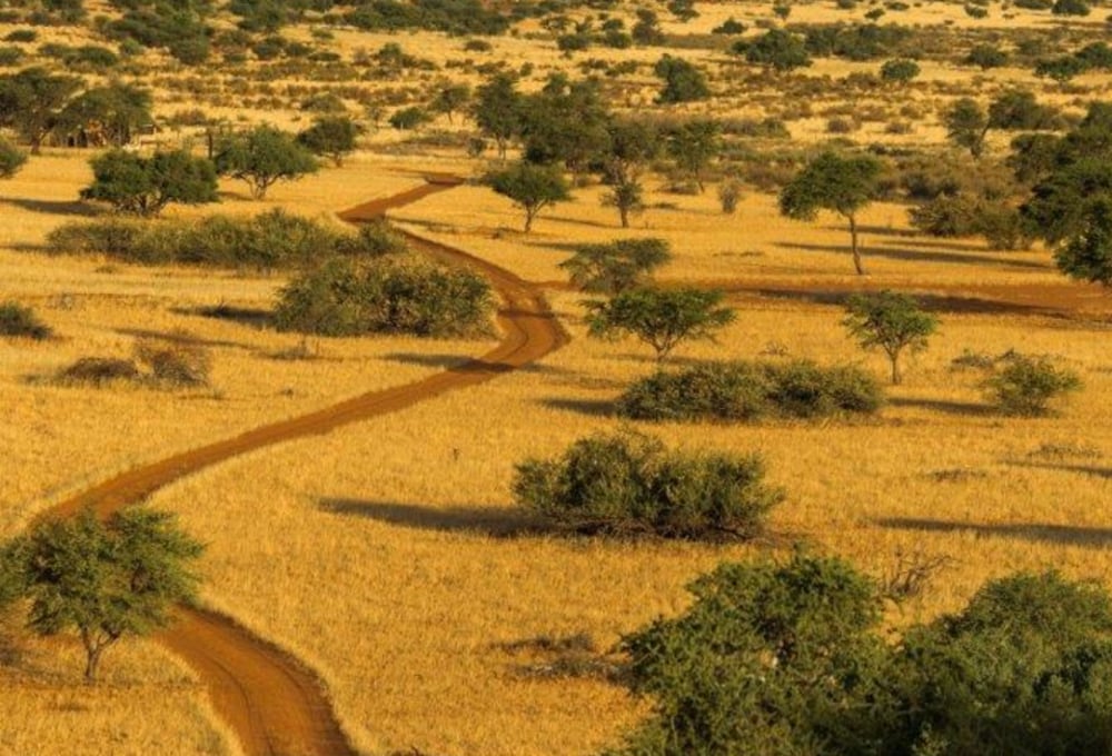 Bagatelle Kalahari Game Ranch Lodge
