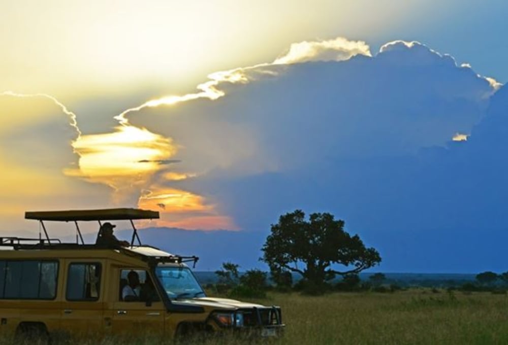 Ishasha Wilderness Camp