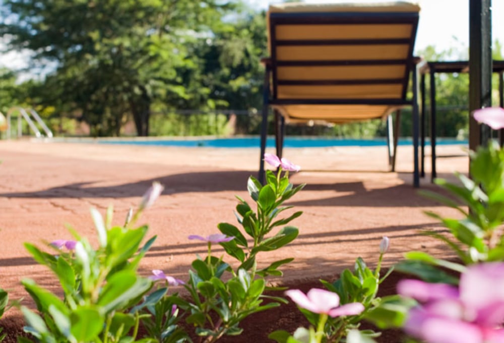 eileens-tree-inn-tansania-meineweltreisen