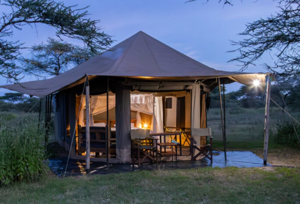 Canopy Migration Camp North