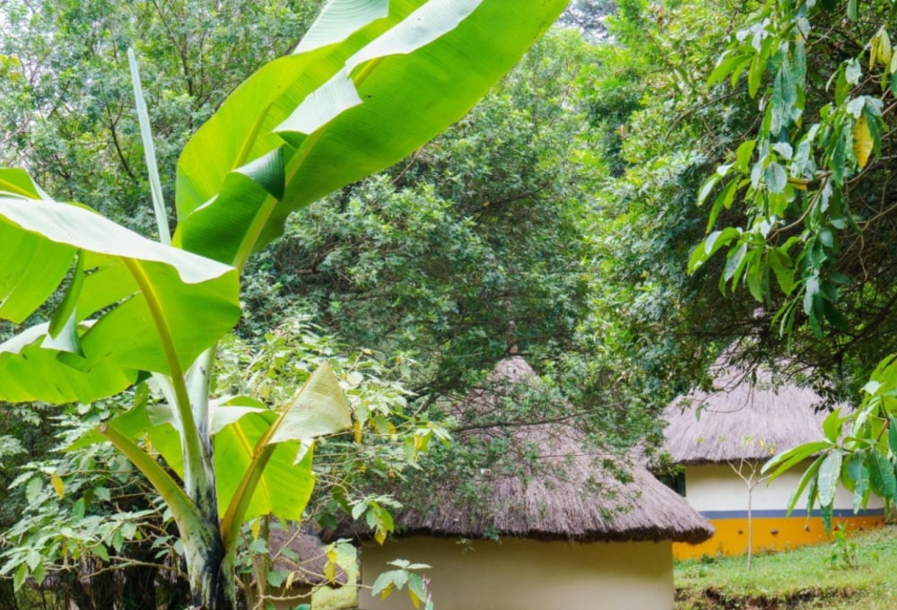 Sipi River Lodge Uganda