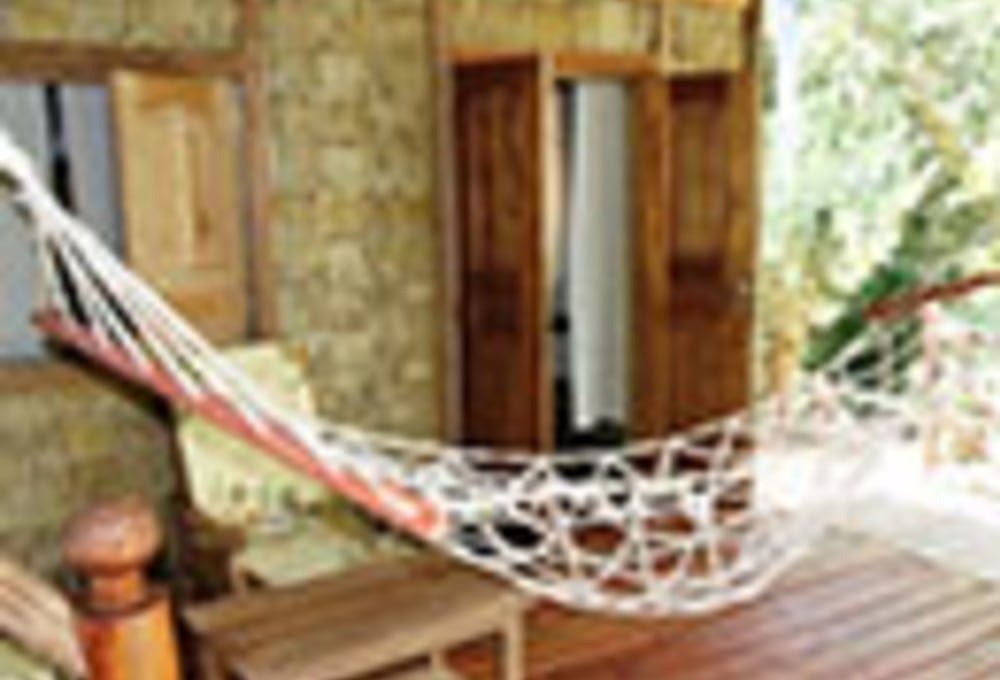 Palmarium (Manambato) 