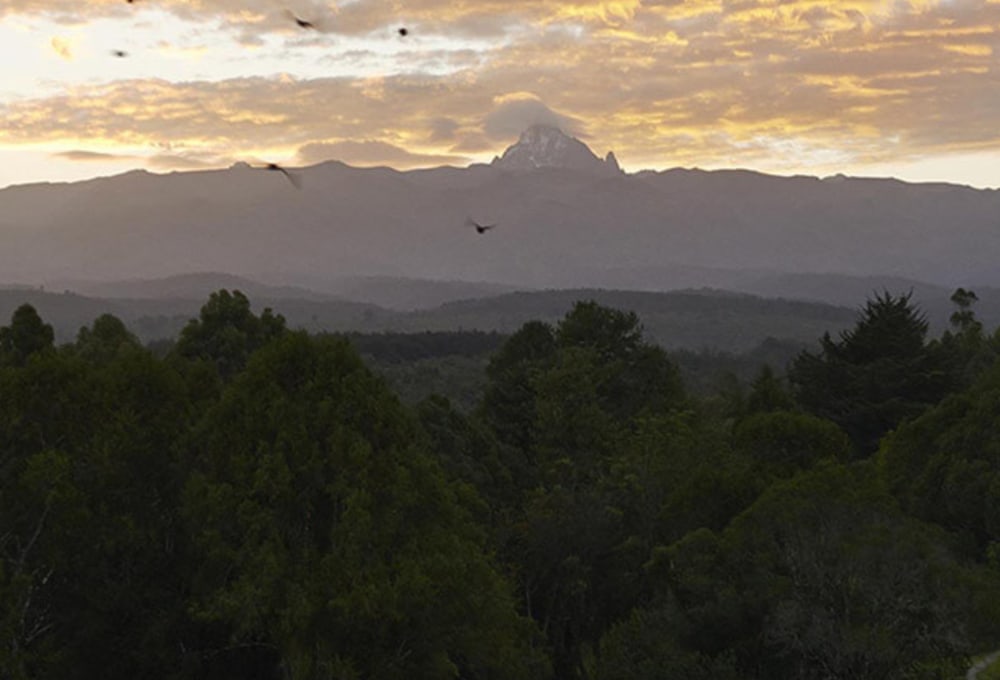fairmont-mount-kenya-safari-club-aussicht.jpg