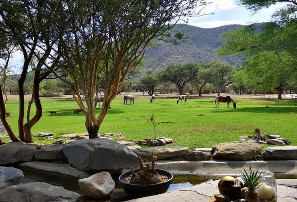 Okapuka Safari Lodge