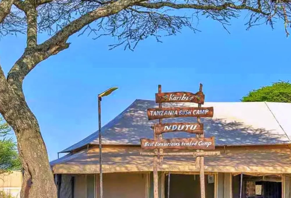 Ndutu – Tanzania Bush Camps
