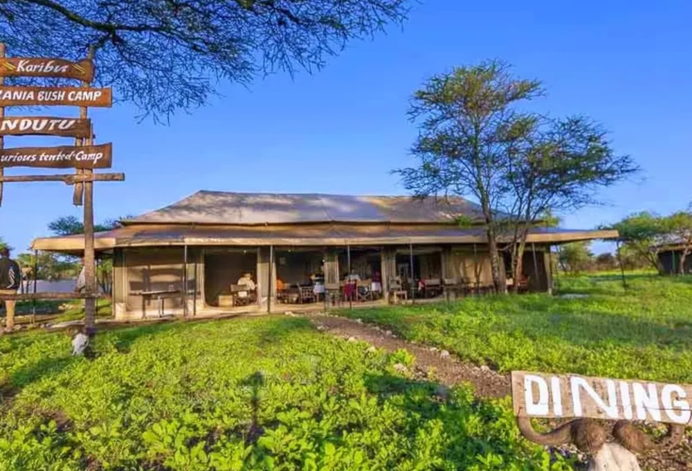 Ndutu – Tanzania Bush Camps