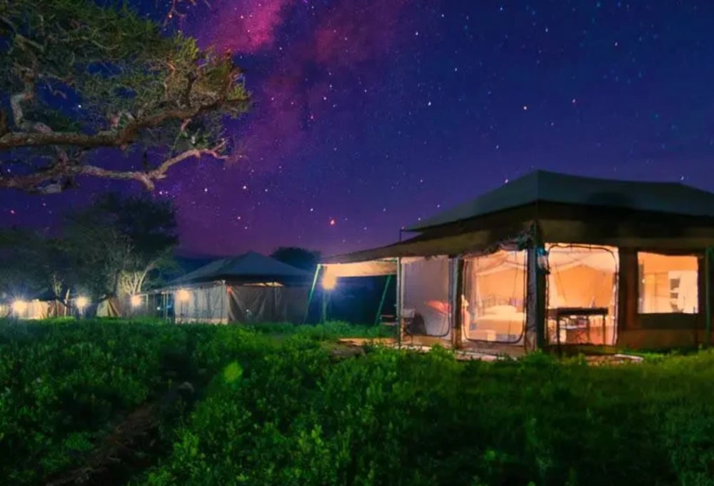 Ndutu – Tanzania Bush Camps