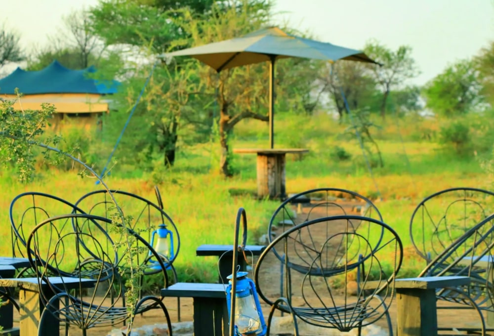 Seronera – Tanzania Bush Camp