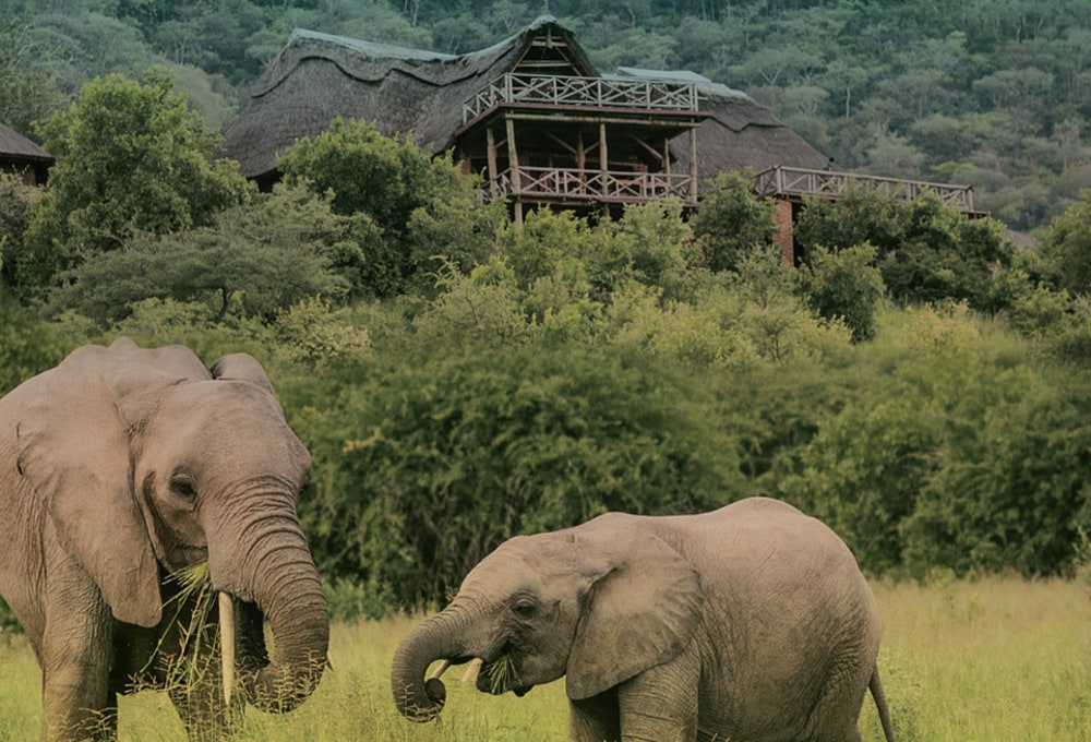 ruaha-hilltop-lodge.jpg