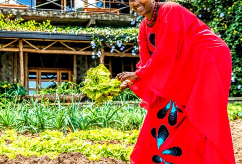 Paradise Kivu Resort