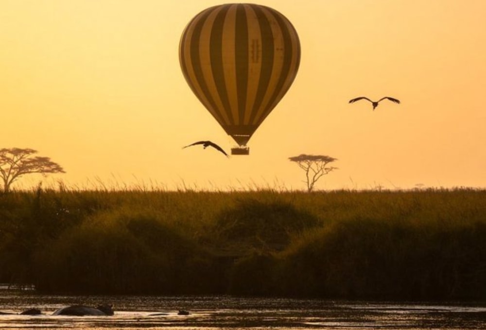 Serengeti Central Lodge