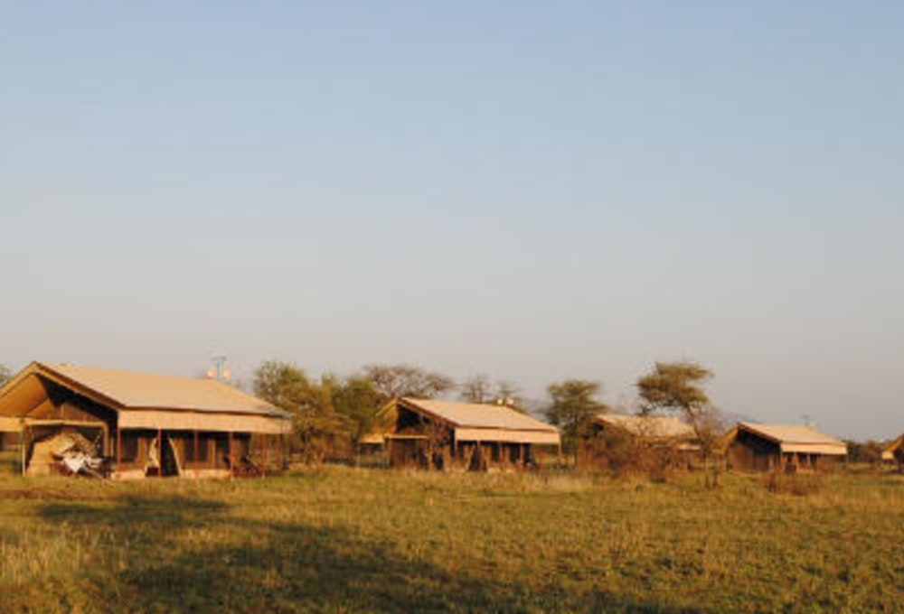 tanzania-bush-camps-serengeti-central-gelände.jpg