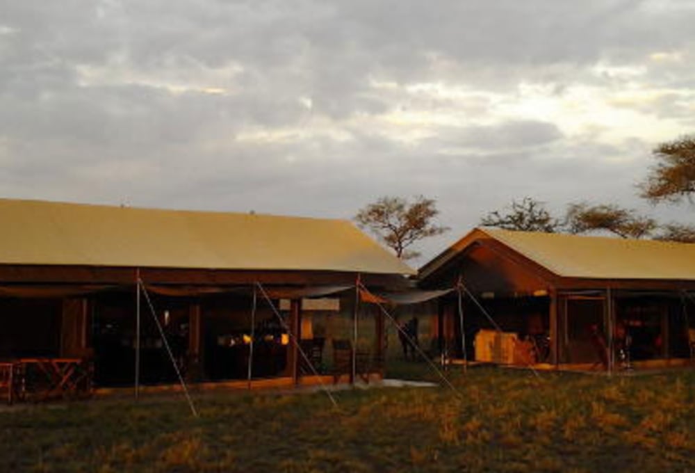 tanzania-bush-camps-serengeti-central-zelte.jpg