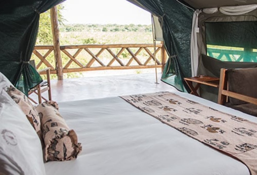 Twiga Safari Lodge
