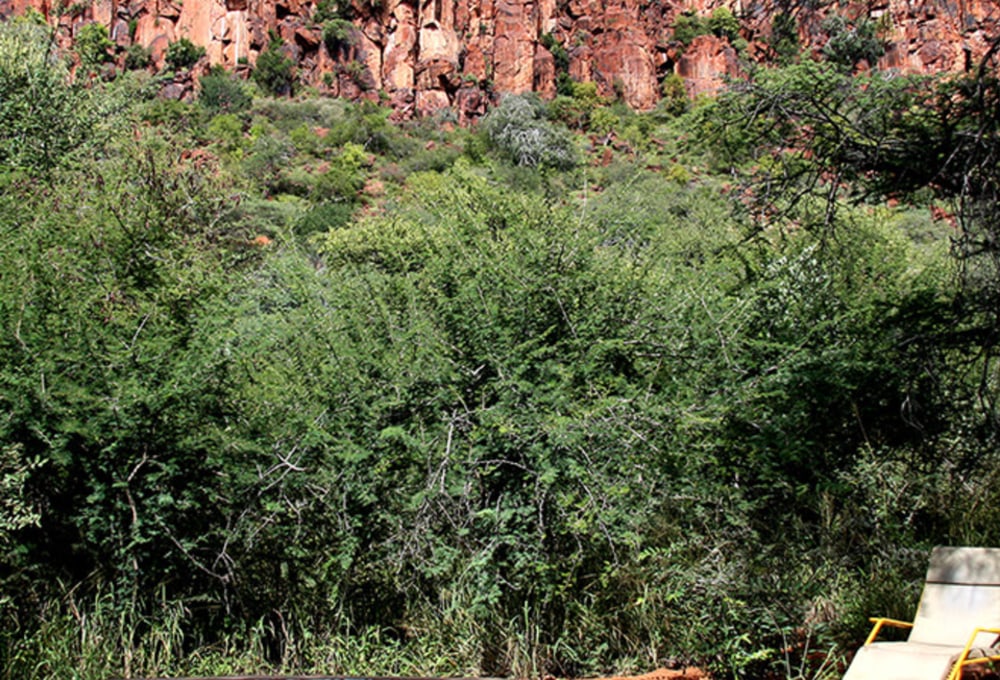 Waterberg Plateau Campsite
