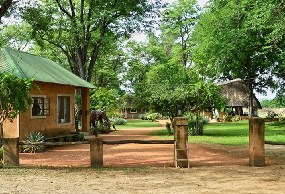 Wildlife Camp