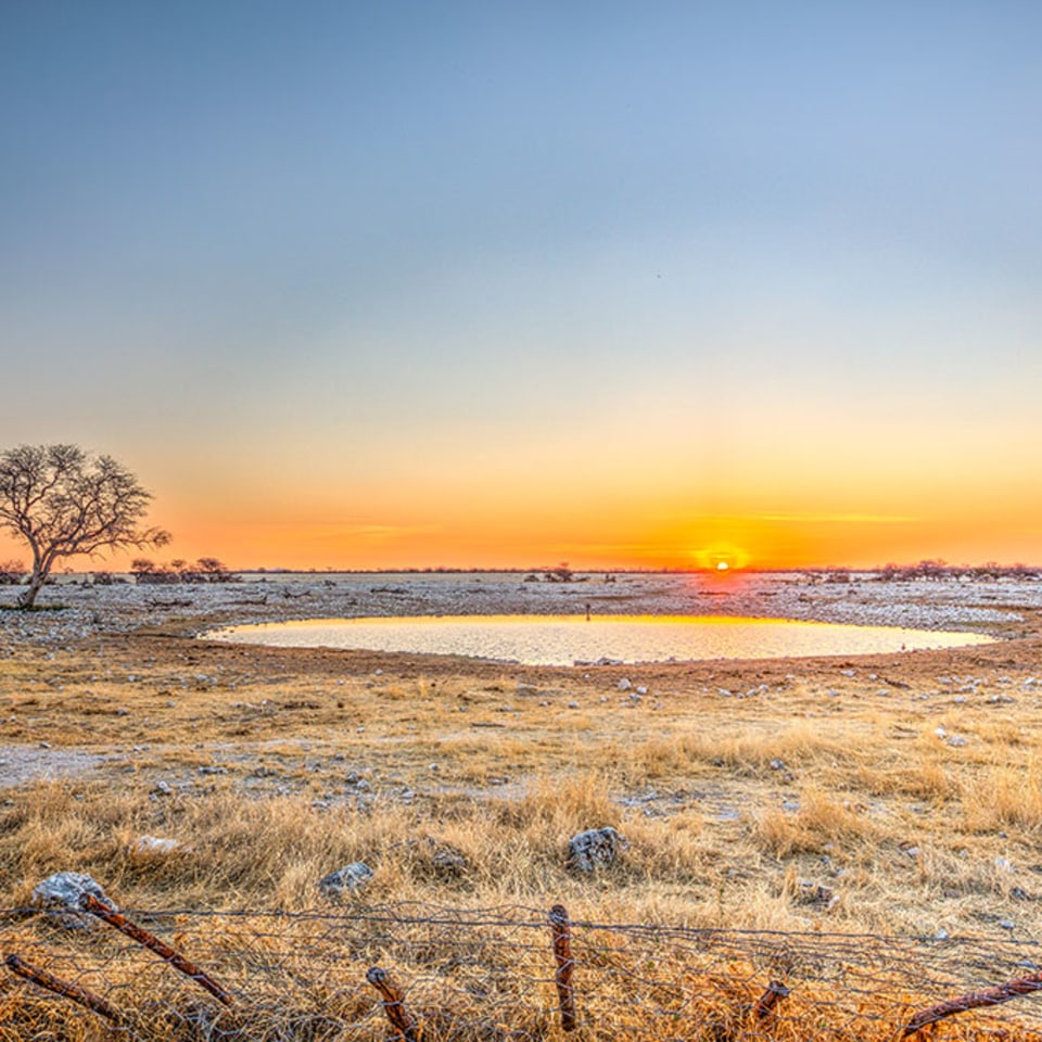 Toshari Lodge  Etosha