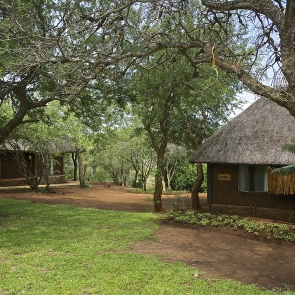 White Elephant Bush Camp