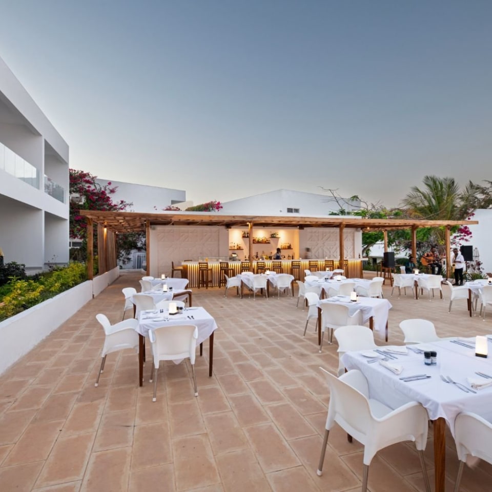 Nungwi Dreams by Mantis