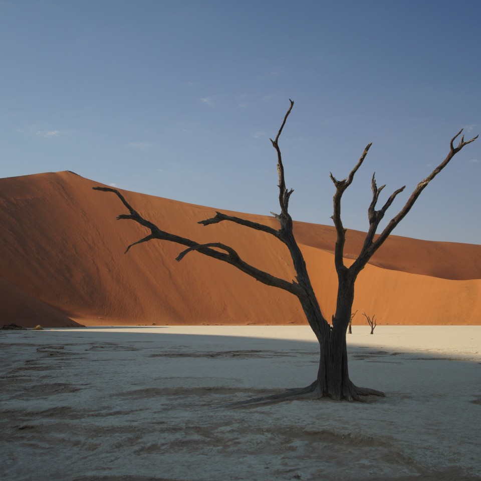 Streifzug durch Namibia