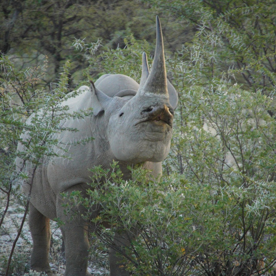 Streifzug durch Namibia