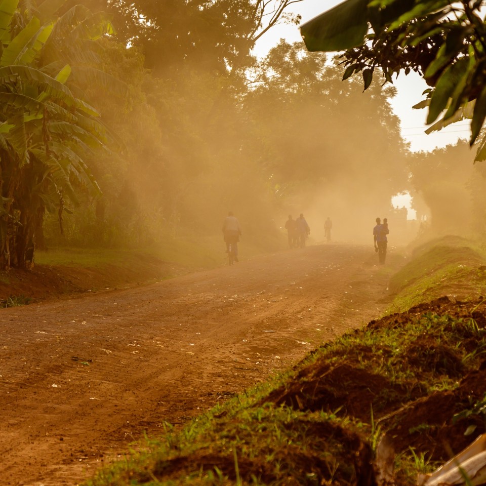 MWR EXKLUSIV Ruwenzori Besteigung & Berggorillas 01.-15.08.26