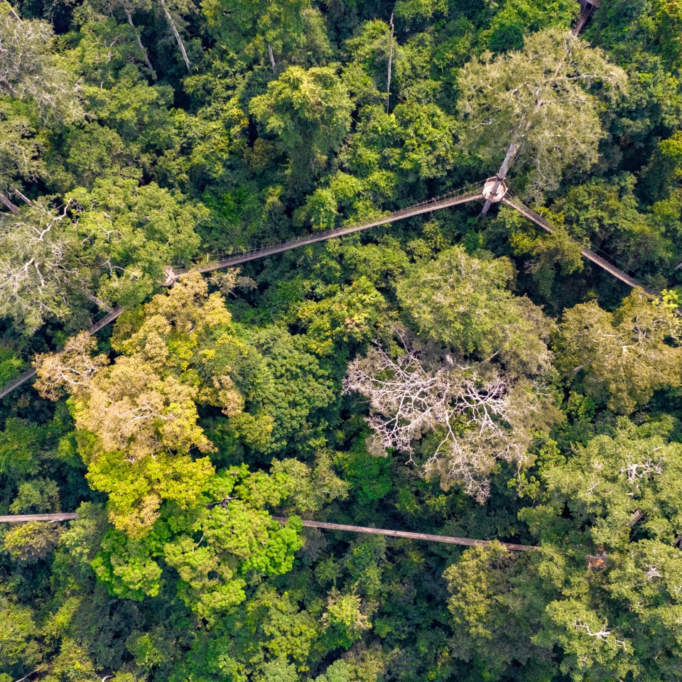 Große Ghana Rundreise