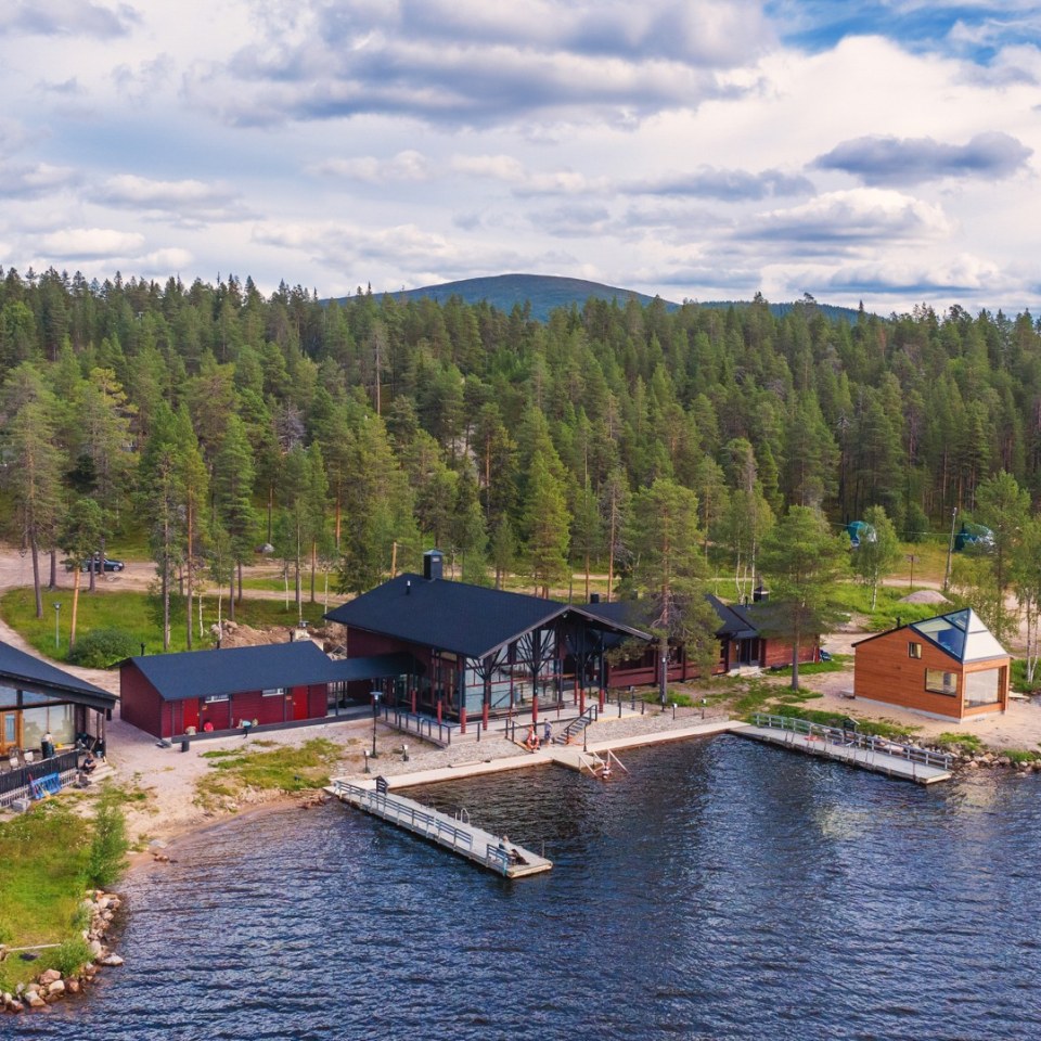 Lichterjagd im Herbstwald