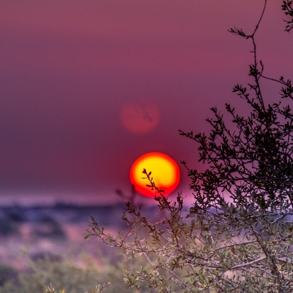 Bagatelle Kalahari Game Ranch Lodge