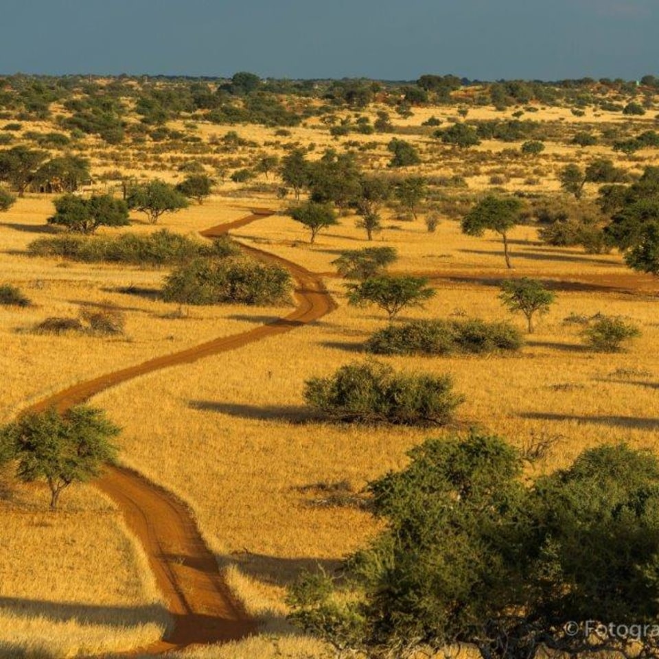 Bagatelle Kalahari Game Ranch Lodge