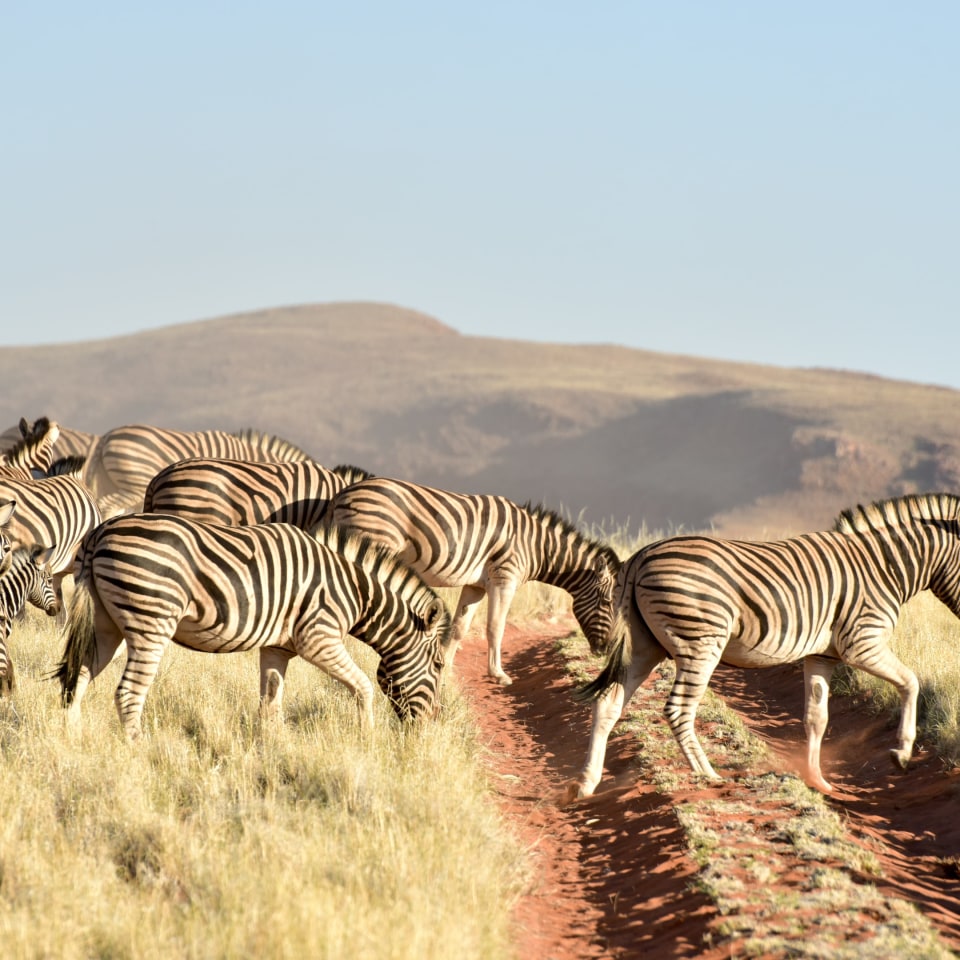 Namibias Naturwunder bis zu den Viktoriafällen