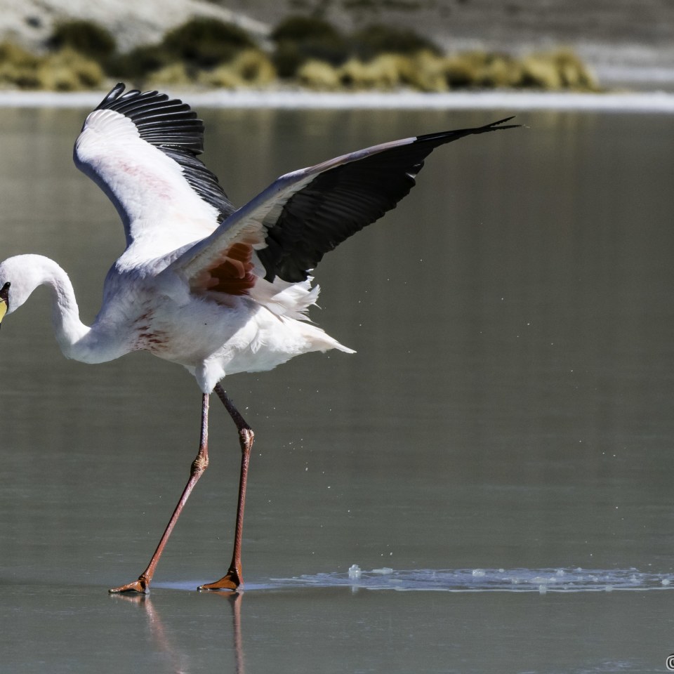 Natur und Kultur im Herzen von Südamerika