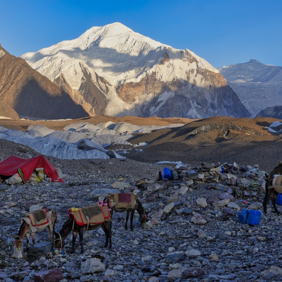 Vom K2 zum Nanga Parbat
