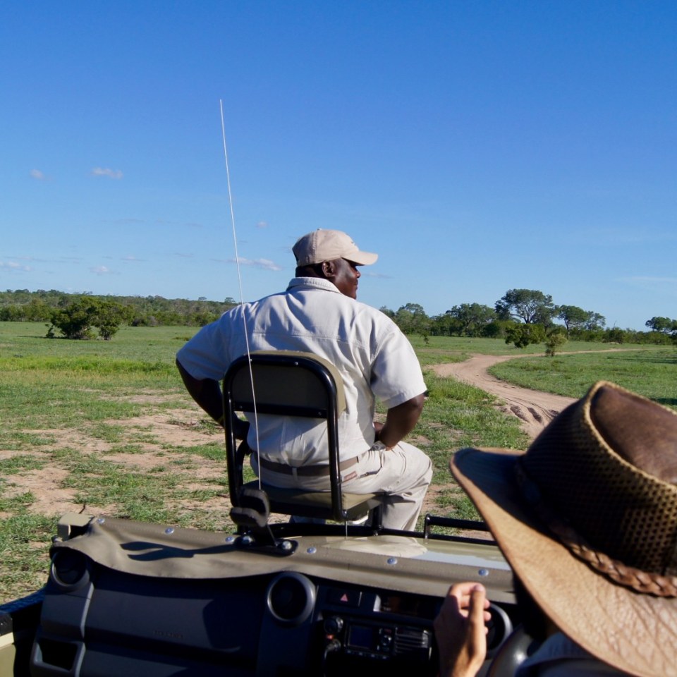 Krüger Nationalpark Safari