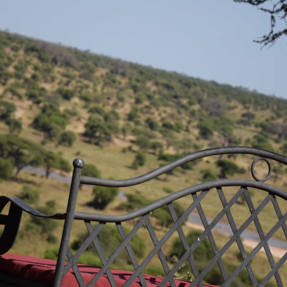 Rast im Tarangire Nationalpark