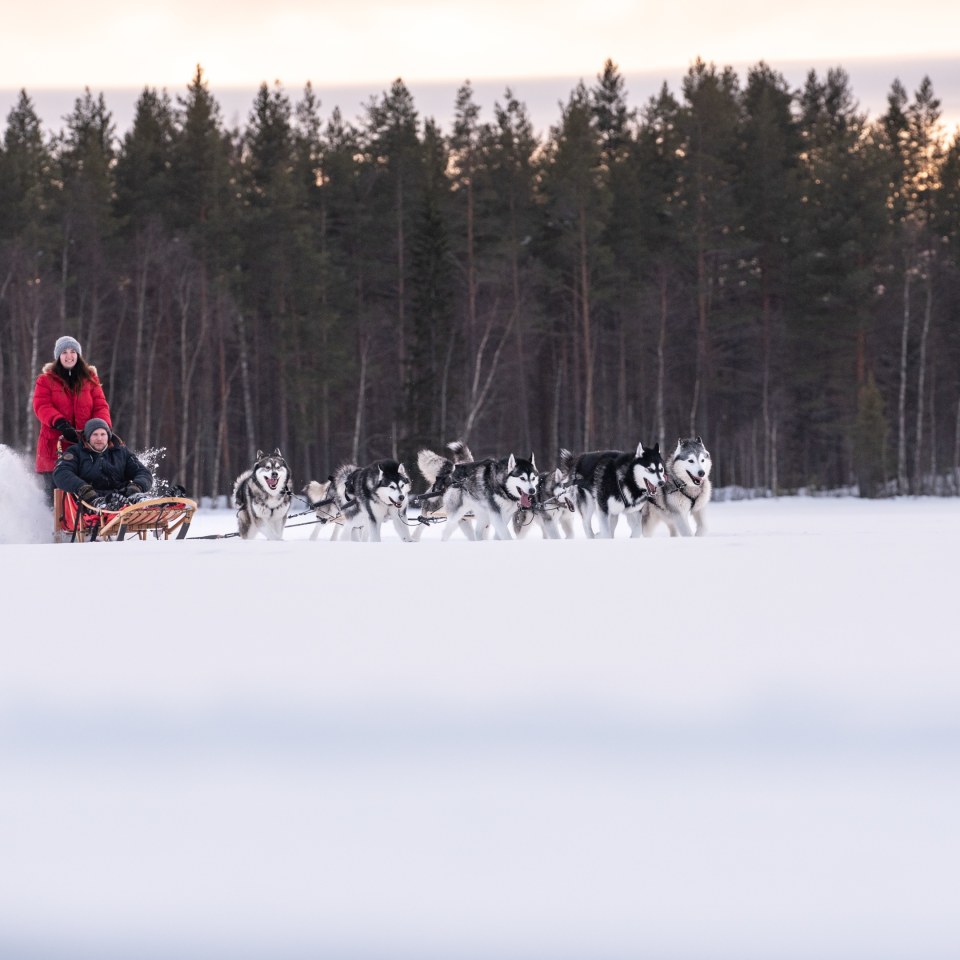 Familienabenteuer im Huskycamp
