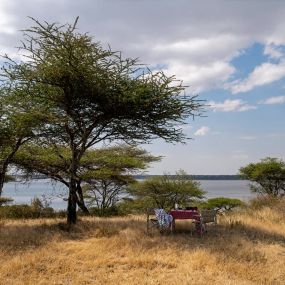 Nyikani Migration Camp -Ndutu-
