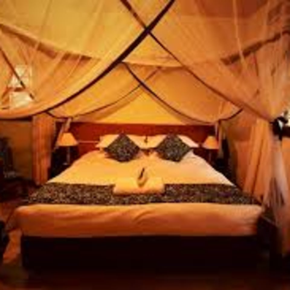 Elementis Guesthouse
