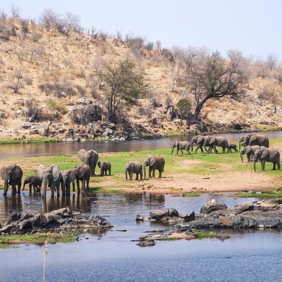 Elefanten im Tarangire Nationalpark