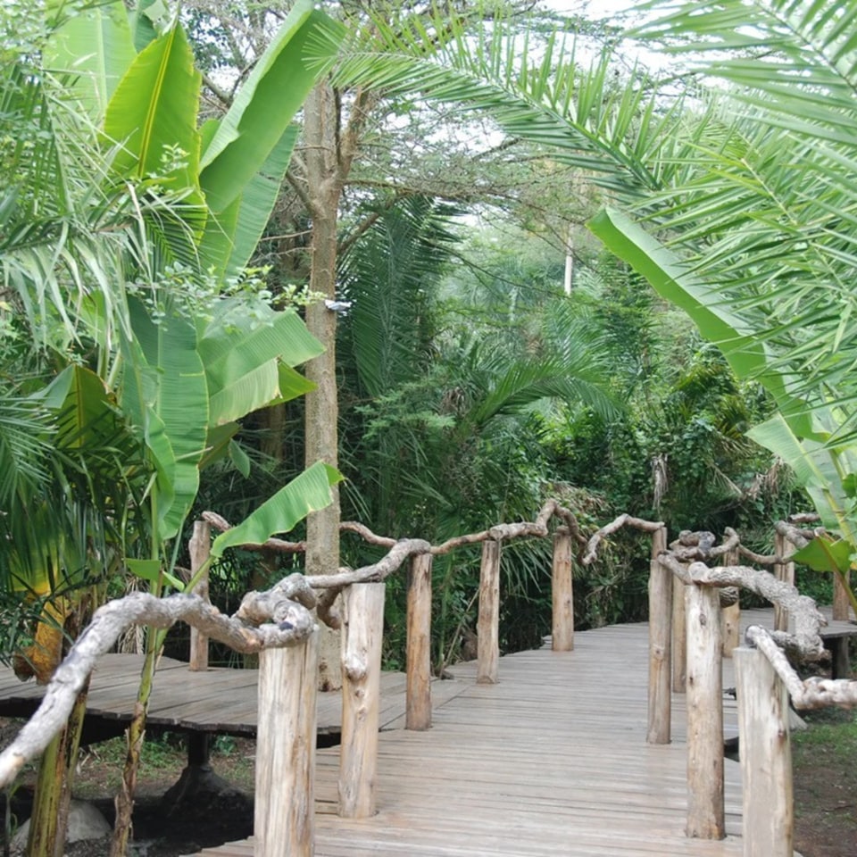 Enjolo Lodge