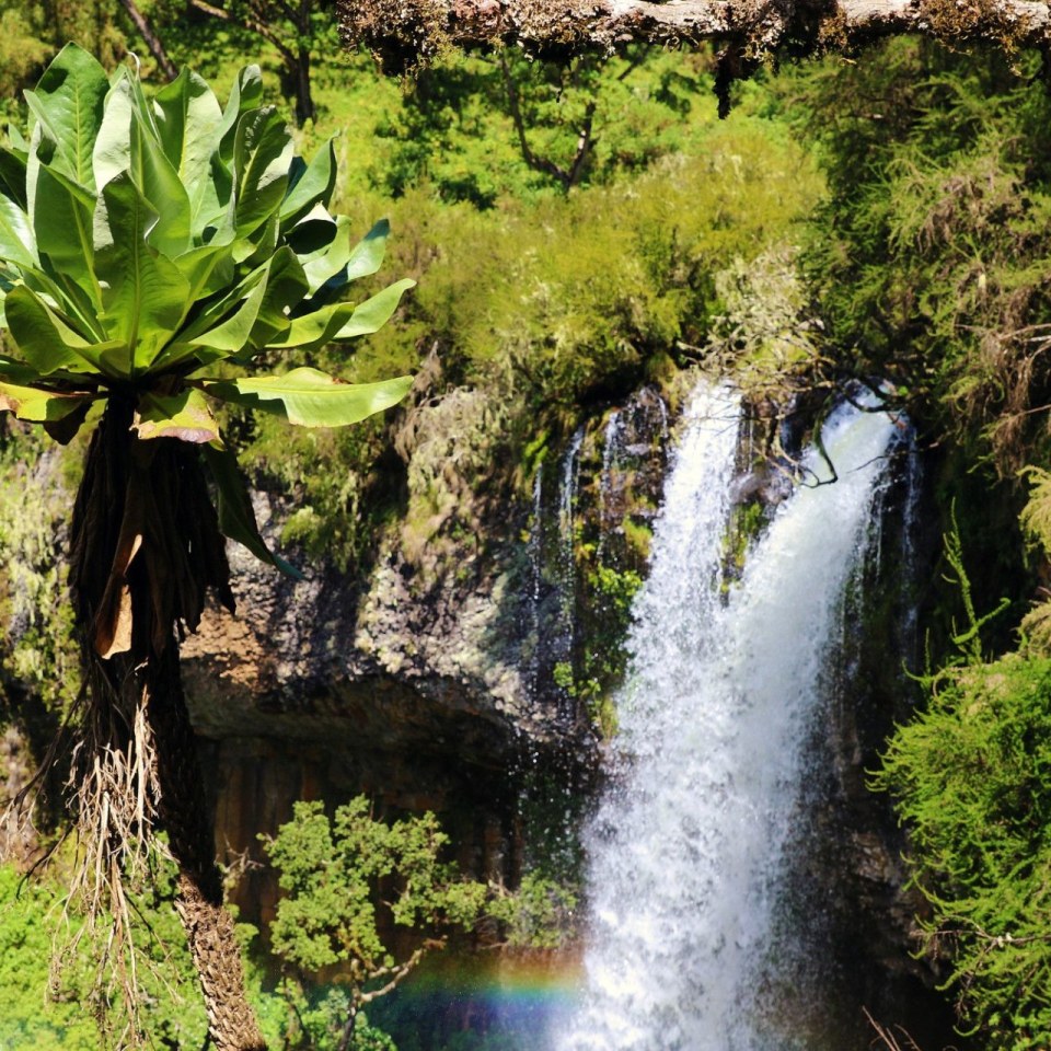 Wasserfall Kenia