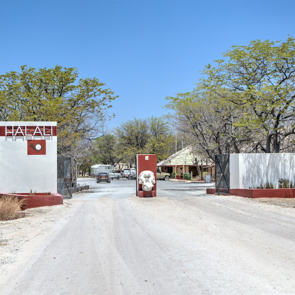 Halali Campsite - Meine Welt Reisen
