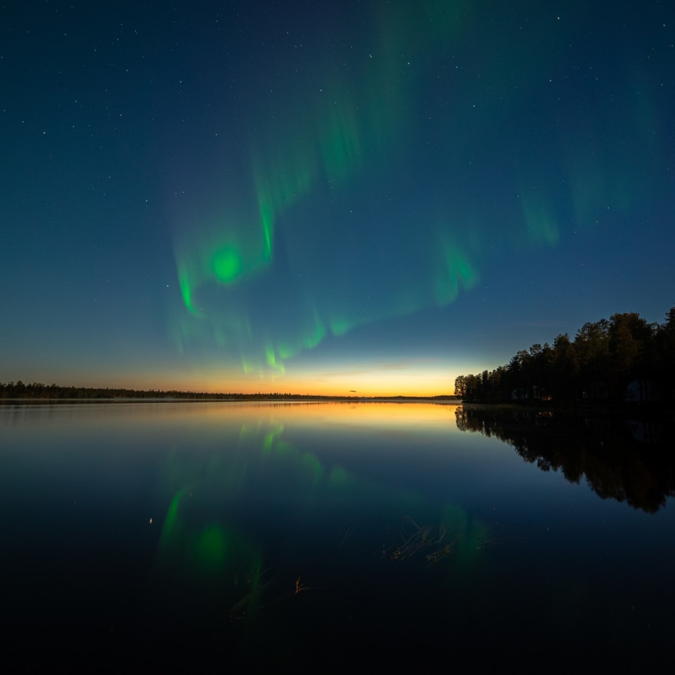 Lichterjagd im Herbstwald