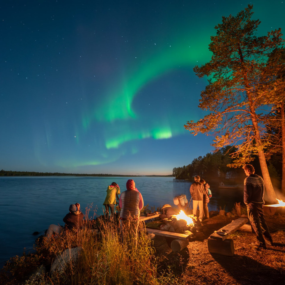 Lichterjagd im Herbstwald